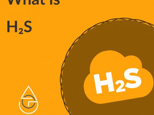 What is H₂S